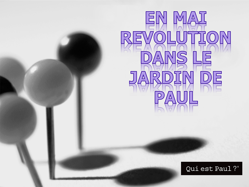 QuiEstPaul's tweet photo. ( ͡° ͜ʖ ͡°) Qui est Paul?
Celui qui vous annonce sa (R)évolution ! 💨
A SUIVRE . . . 
🤭
#boutiqueenligne #quiestpaul https://t.co/qzZtaYc5l8