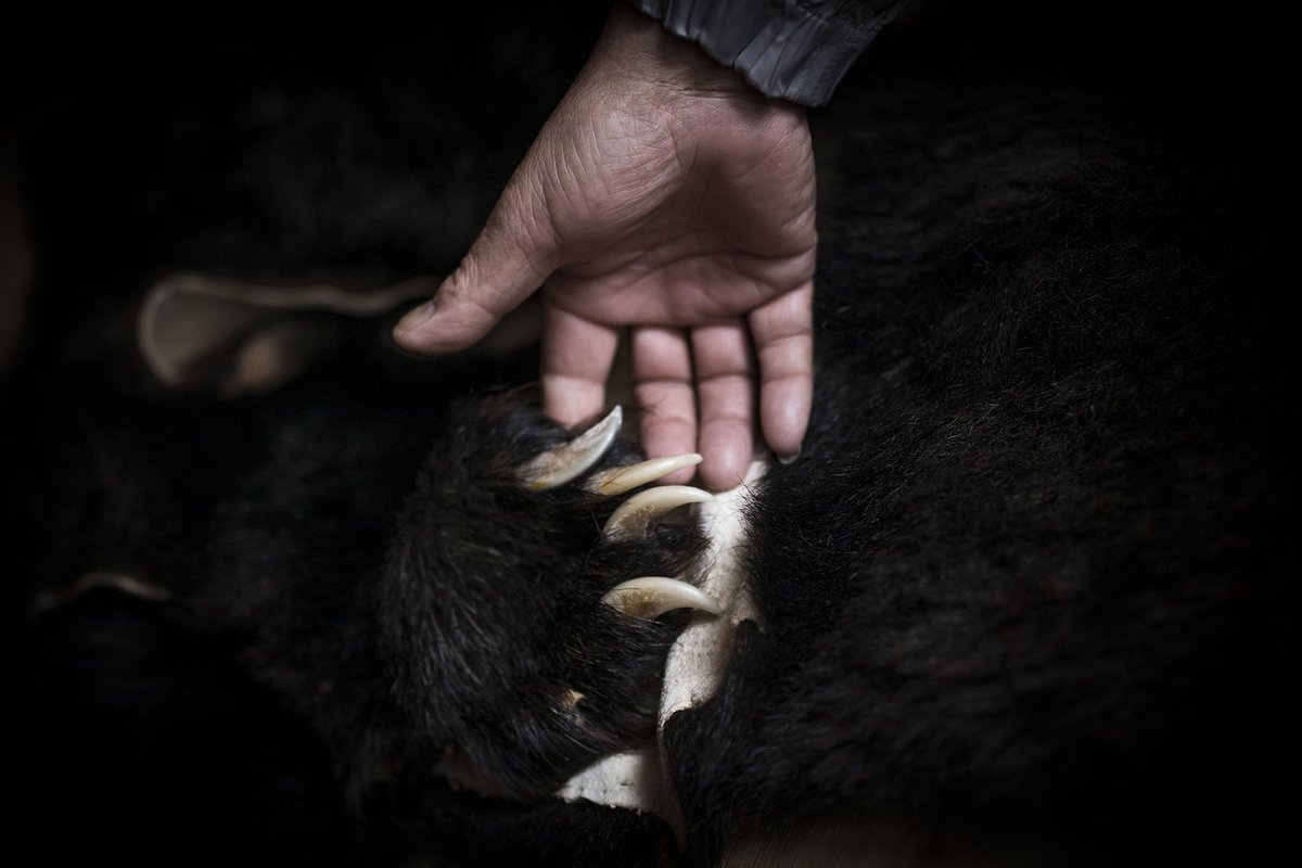 FidalPhoto's tweet photo. Photos: @javiercorso / Participant à la 3e édition du Prix FIDAL de la #photographie #documentaire
► Participez, vous aussi : https://t.co/NfFcjrr0su
#JavierCorso #Matagi #PhotographieDocumentaire https://t.co/ZJNN2hrAFC