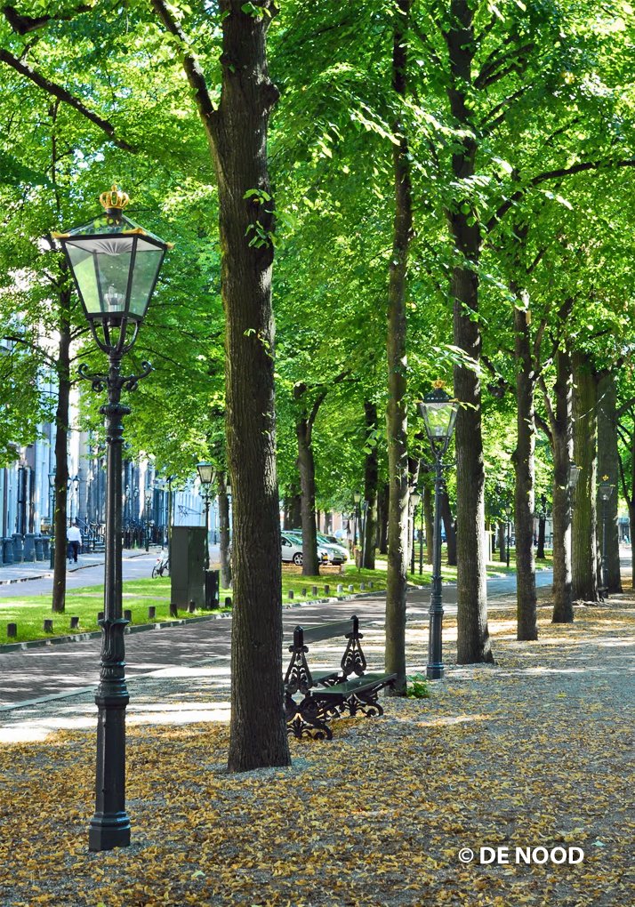 DENOODBV's tweet photo. De Lange Voorhout in Den Haag waar de unieke Haagse Kappen Royal staan met hun gouden kroontjes. 

#langevoorhout #denhaag #DENOOD #straatverlichting https://t.co/4ooJklLJvs