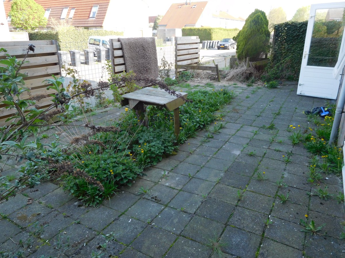 PresentDrachten's tweet photo. Zo, deze tuin is weer zomer klaar! Dit weekend gingen er 19 leden van PKN de Oase onder andere via de hulporganisatie Reik, aan de slag. Wil jij ook aan de slag? Kijk dan eens op de website van Present Smallingerland :) @PresentDrachten https://t.co/ivIMvPFtXW