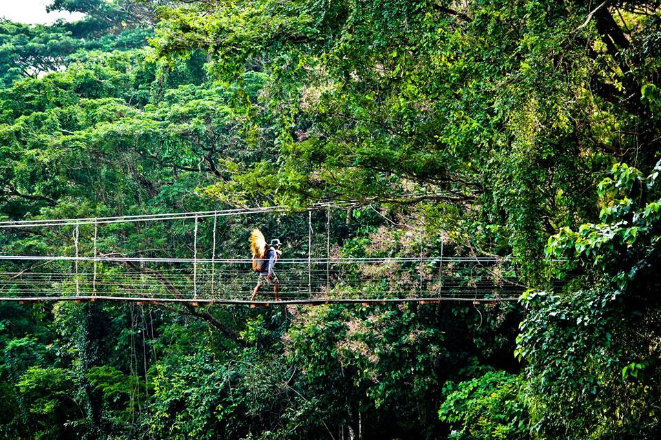 YanapumaTrueEC's tweet photo. #TrueEC Hello guys!! This is a quick note just to let you know that we will be in the jungle this week in order to collect #BestTestimonies of #Volunteers as well as #Expats, we are sure that we will be back with astonishing anecdotes ๐ฒ๐ช๐จ
#GreenEcuadorTravel #ServiceLearningEC https://t.co/mALZKjWa2U