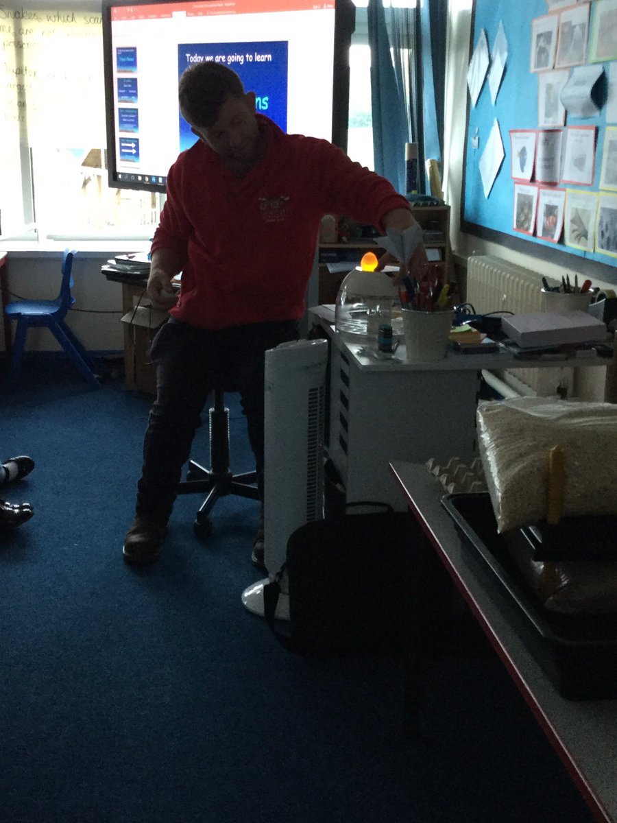 Y4MapleClass's tweet photo. Today we had a visitor from Rand Farm who gave us some eggs so we can watch them hatch! https://t.co/VSewSJUEOF