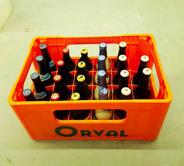 Estas 22 maravillas se van para Hospitalet del Llobregat.
¿Quieres recibir las mejores #cervezasbelgas en casa?
Entra ya en #belgasonline 
<a href="/StBernardus1/">St. Bernardus</a>  <a href="/ChouffeUSA/">Chouffe USA</a>   #dedoktervandekorenaar #sanspardon #extase @ChimayUSA <a href="/deliriumtremen6/">deliriumtremens</a>