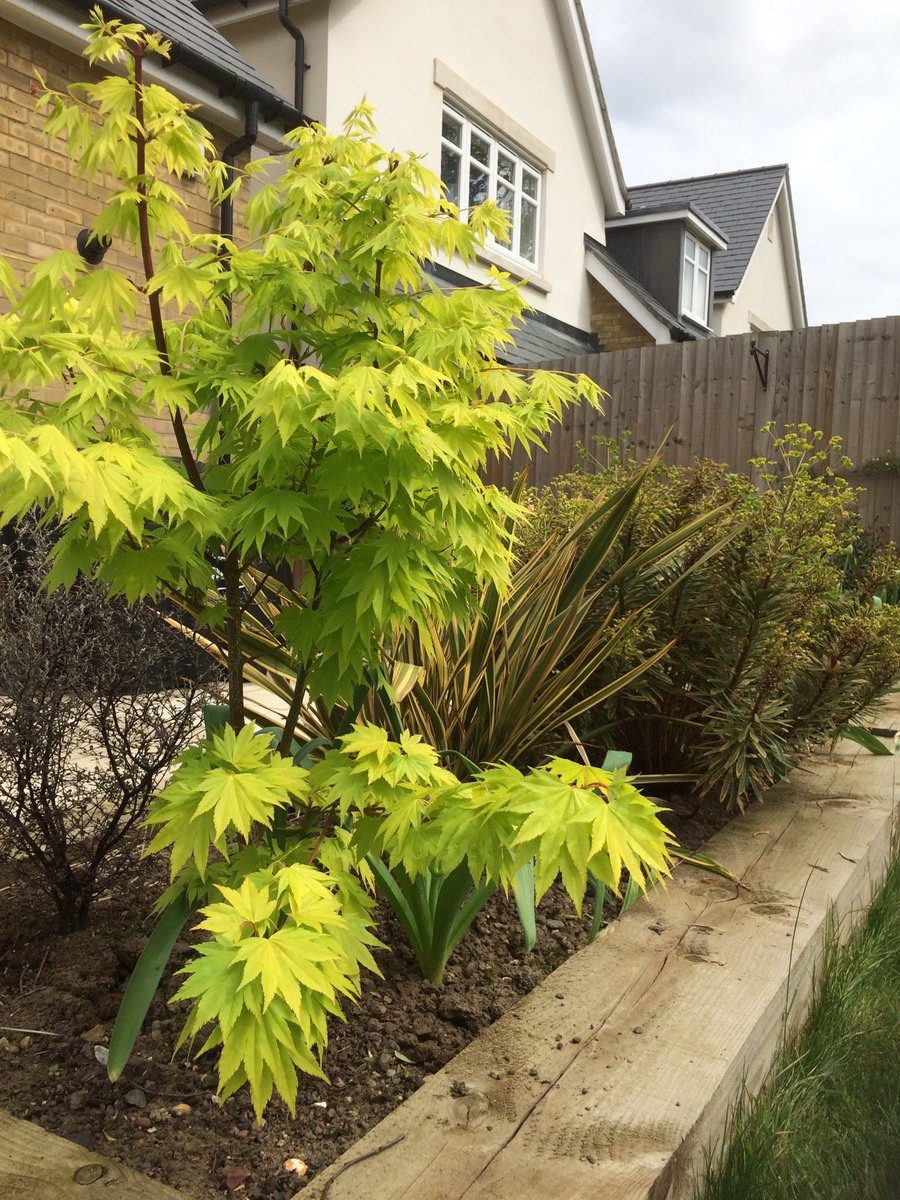 First re-visit this year, to maintain a garden I designed and planted in 2017!