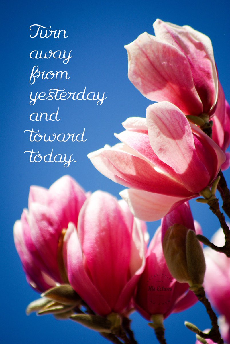 HisEchoes's tweet photo. Today is your second chance. Turn away from yesterday and toward today, releasing the past to Jesus so you can be truly free now. The morning light is breaking and you can finally rest. #HisEchoes https://t.co/vg6CLJWU4y