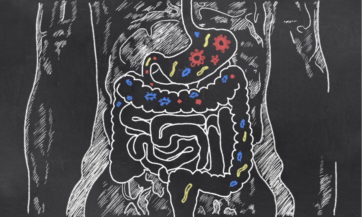 miiMDdotcom's tweet image. Your gut health is linked directly to your sleep cycle. Learn more: bit.ly/2qVpsLn