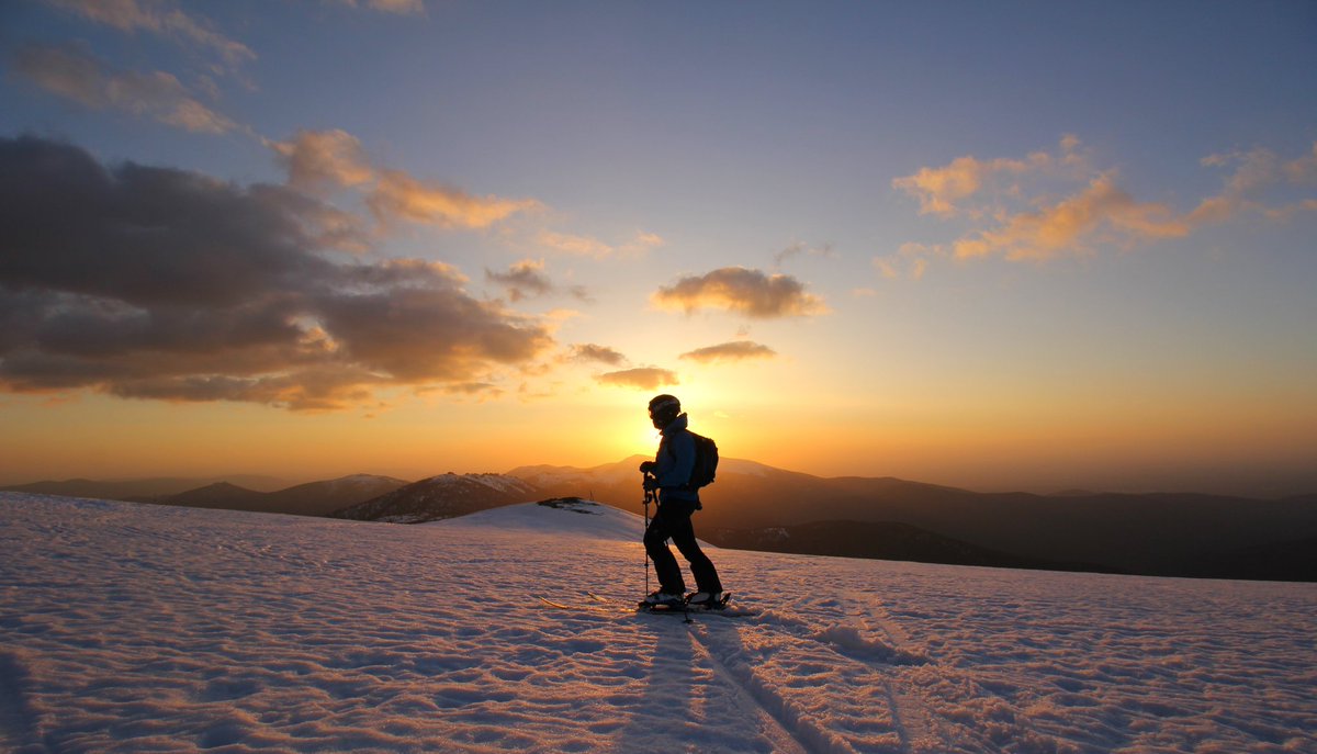Fernando__Fdez's tweet photo. bola del mundo #pnguadarrama #guadarrama #madrid https://t.co/6Setqgk8Ge