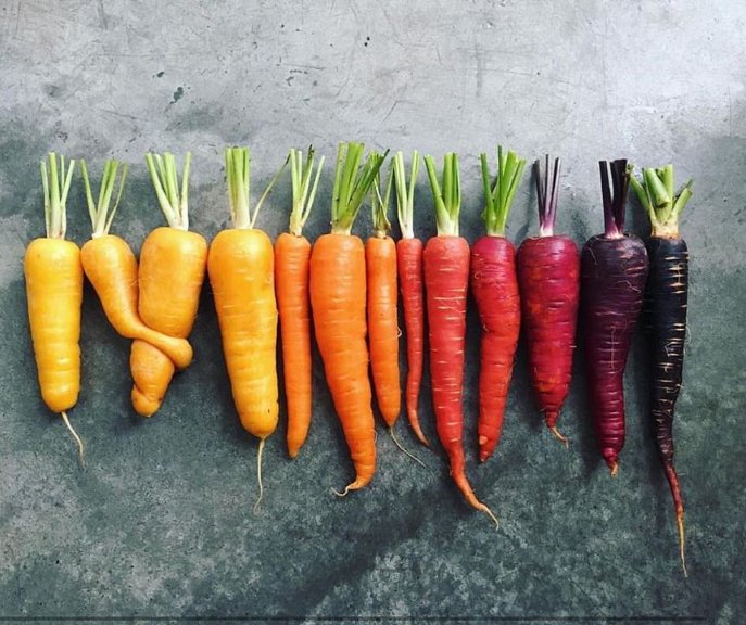 Amor por los colores y la diversidad 😍 #felizmartes