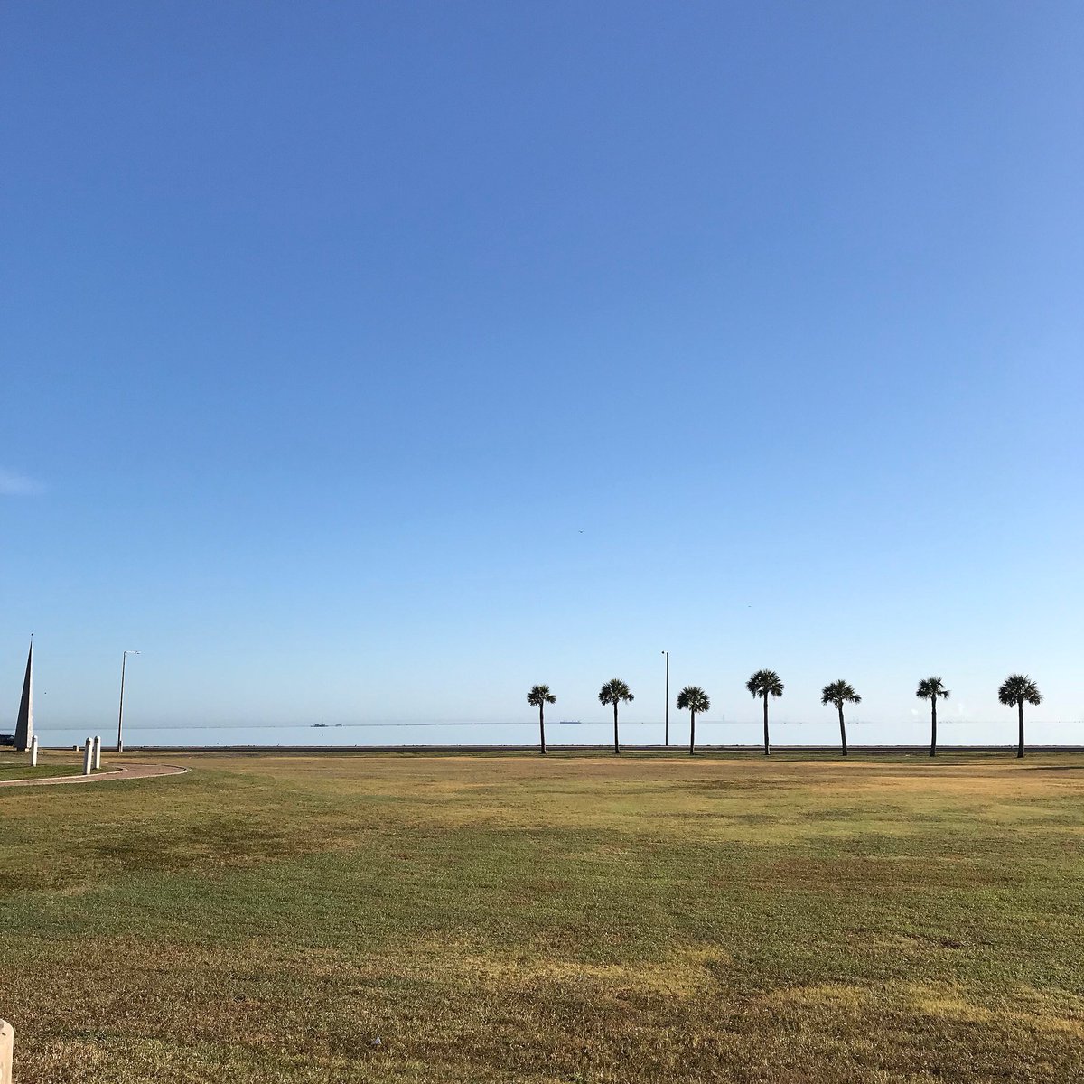 HarteResearch's tweet photo. Calm blue morning here at HRI! ☀️🌴
.
#harteresearchinstitute #corpuschristibay #corpuschristi
#gulfofmexico #gulfcoast #savethegulf #earthisblue #missionblue #onegulf #betteroutside #texascoast #estuaries https://t.co/qq9bErzd0O