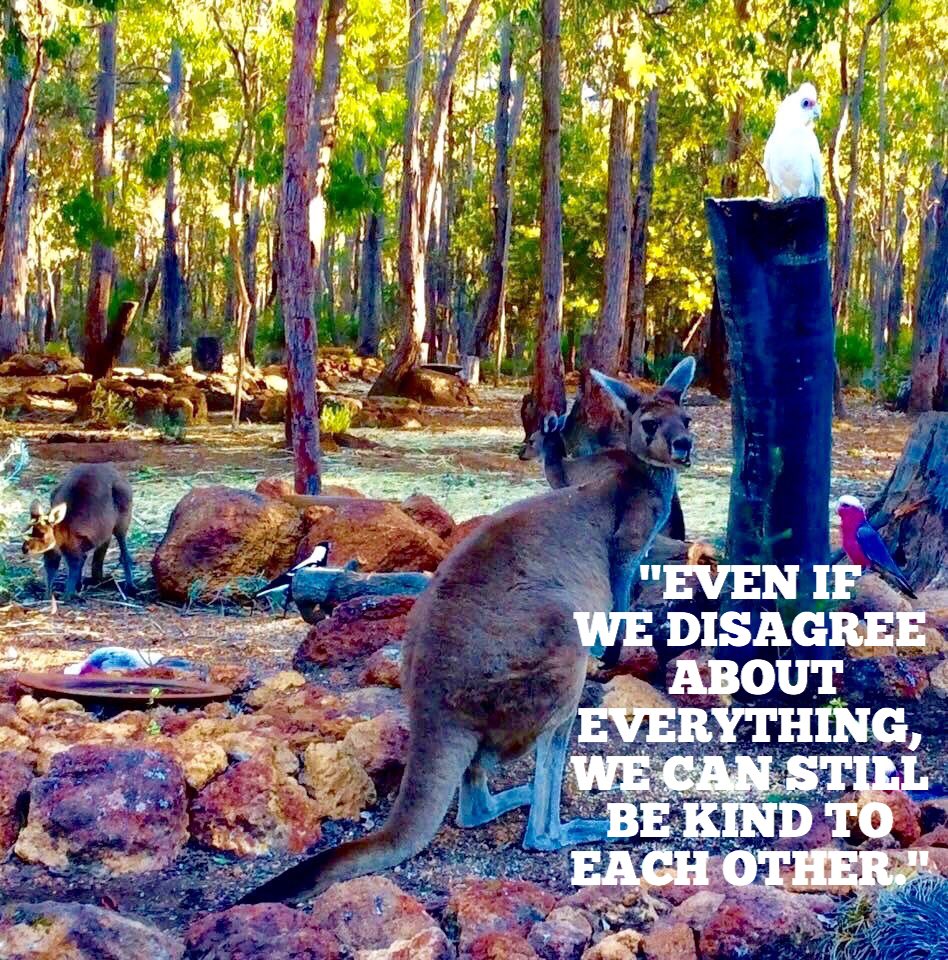 jarrahdale1's tweet photo. #Disagreement #BeKindToEachOther #BeKindToOneAnother #Arguments caused by #DifferentPerceptions #Different Realities #Photo by #ColinHAbbott #Photo by #ColinHughAbbott #Jarrahdale #WesternAustralia #kangaroo #birds
#wildlife #Woods #SerpentineNationalPark https://t.co/BGpkkou0KX