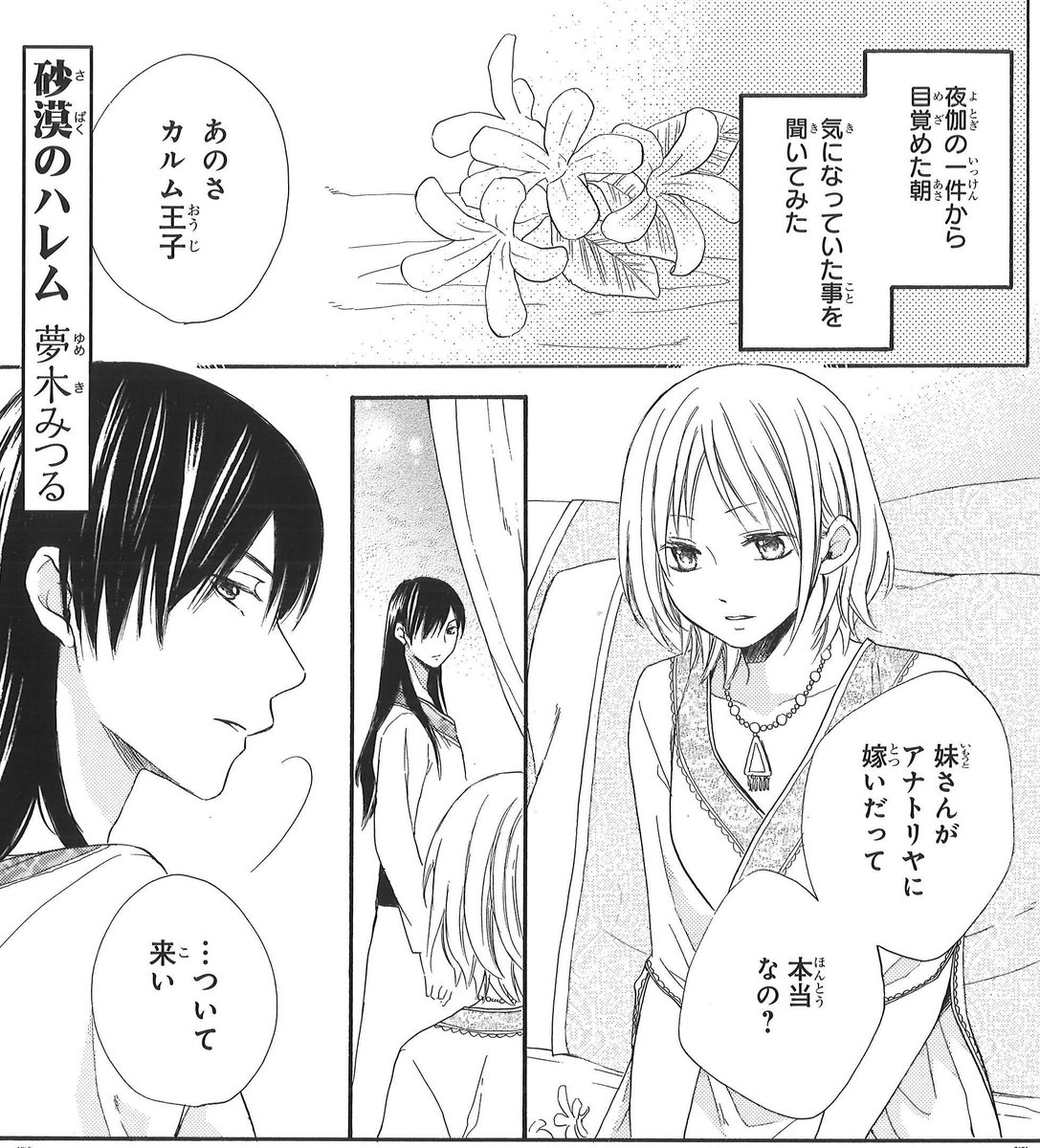 砂漠のハレム 砂漠のハレム