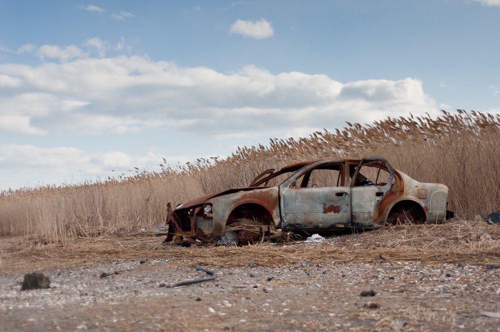 Ying Yee tweet media