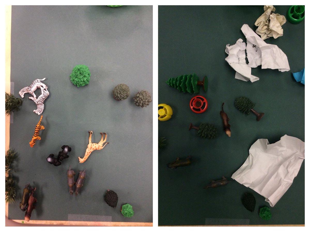 wonder_inquiry's tweet photo. What do you notice between the before & after? When people litter it affects the Earth- animals & vegetation die. Do your part- don’t litter! #kindergarten #earthdayeveryday #cleanuptheearth @JaneGoodallInst @EarthDayCanada #yrdsb #futureenvironmentalists https://t.co/5TD8GZHRI0