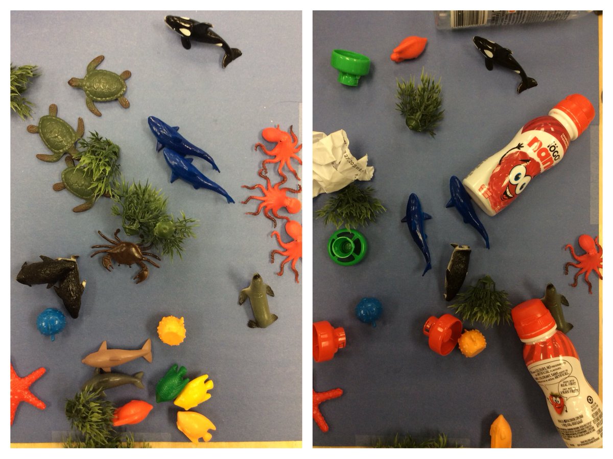 wonder_inquiry's tweet photo. What do you notice between the before & after? When people litter it affects the Earth- animals & vegetation die. Do your part- don’t litter! #kindergarten #earthdayeveryday #cleanuptheearth @JaneGoodallInst @EarthDayCanada #yrdsb #futureenvironmentalists https://t.co/5TD8GZHRI0