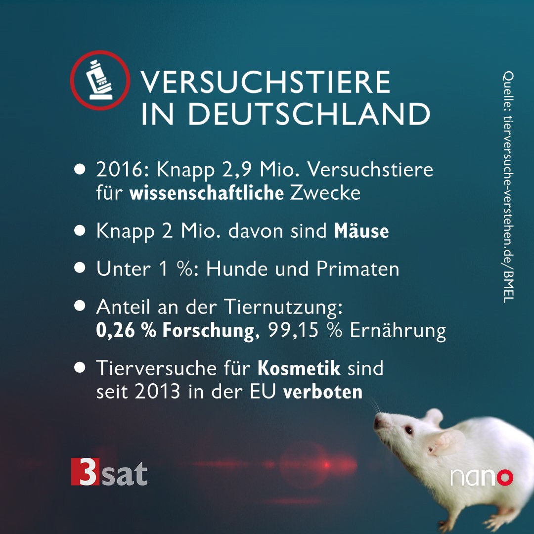 Rund 800 Millionen Tiere 'nutzen' wir deutschlandweit - 10 Mal so viel wie die menschliche Bevölkerung Deutschlands. #Tierversuche haben daran einen ziemlich kleinen Anteil. #TagdesVersuchstiers #3satwissen 💡