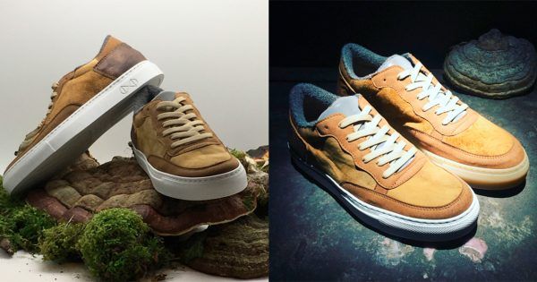 FARMUSA's tweet photo. These 'Vegan Sneakers,' Made From Mushrooms, Take Sustainable Apparel to a New Level https://t.co/4ECoaKWDf7 https://t.co/d7BLtUNECK