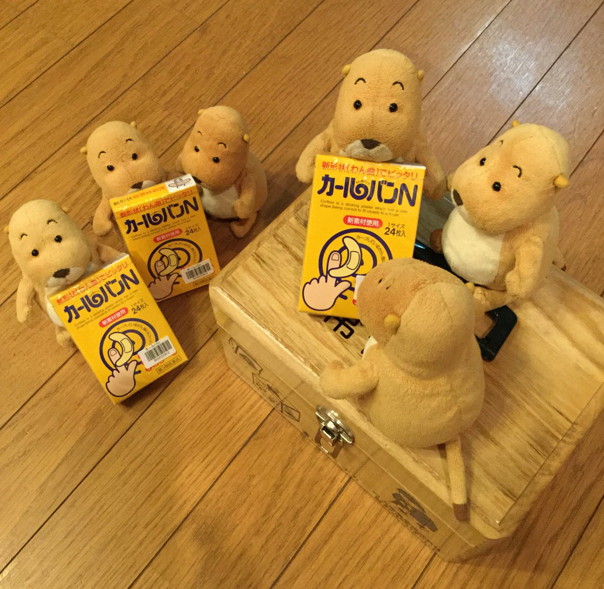 らくおじぎ على تويتر らくちゃん色 V