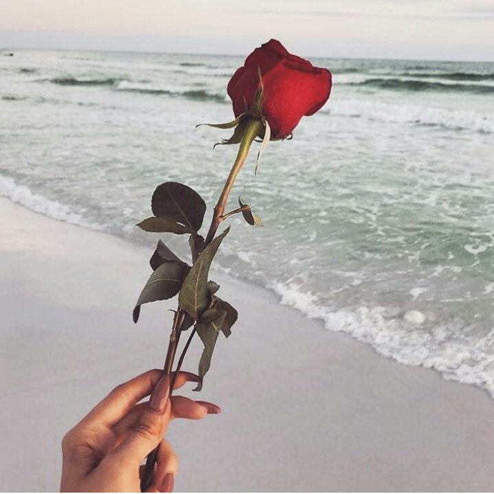 JoyceCouto3's tweet photo. Minha paixão! #mar #areia #Flor #Vida #amor https://t.co/h6XE3DGaV0