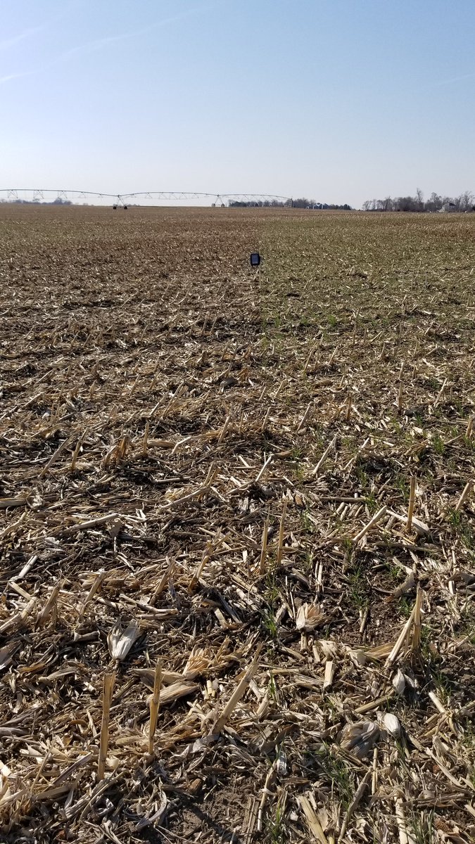 CropsANdWater's tweet image. First water sensor install of the season, comparing water use in rye cover vs no cover for #SMFD #NebExt @NESoybeanBoard