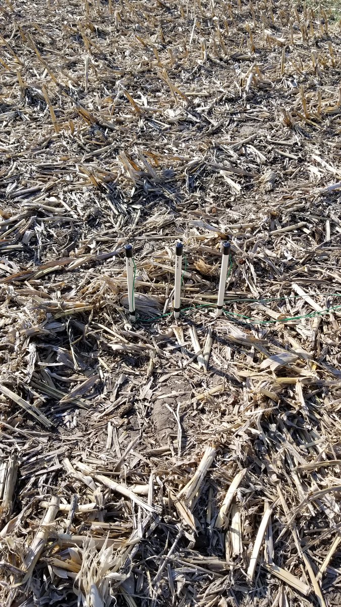 CropsANdWater's tweet image. First water sensor install of the season, comparing water use in rye cover vs no cover for #SMFD #NebExt @NESoybeanBoard