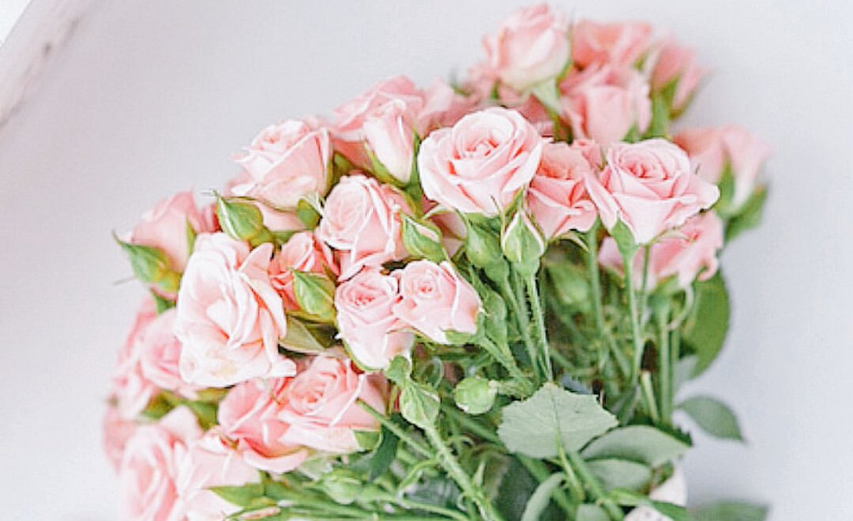 mkmm1121's tweet photo. 🌸🍃
يآ خآلقَ السَّعآدة استودعنآكَ أقدارنا
 فاكتب لنآ السَّعآدة أينمآ نكون 
.....🌸🍃
#قروب_الصبايا_للاضافات
#قروب_روح_الوفاء_للدعم https://t.co/9p6tKoJ191