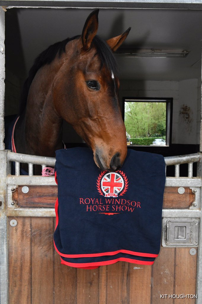 Mount St John Freestyle (aka Mrs Valegro) going over her Dressage test ahead of her debut at #RWHS "...Down the centre line, halt, salute...relax"