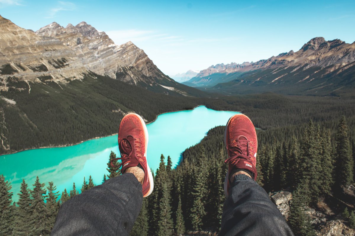 Le saviez-vous ? 🤓 De tous les bienfaits accordés par les #arbres, la contribution au bien-être de l’être humain est probablement le + important. En effet, les arbres influent sr le moral &amp; les émotions des citoyens et agrémentent le milieu qui les entoure. 🌈#lsv #lesaviezvous