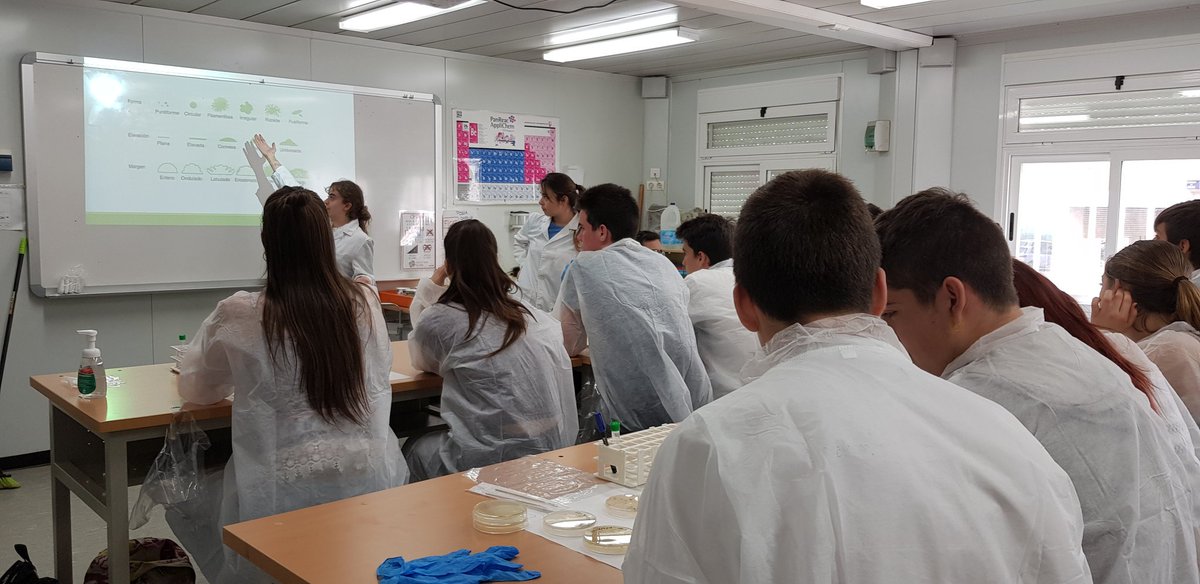 Jornada intensa de @SwiUab, 30 alumnes del <a href="/inscanroca/">INS Can Roca</a> buscant microorganismes productors d'antibiotics.