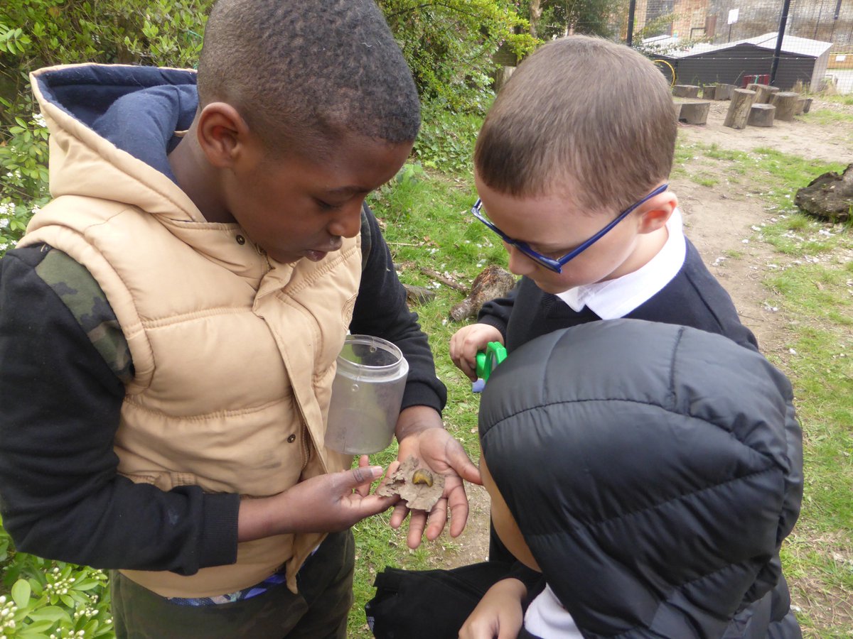 WoodhillFS's tweet photo. At KS2 Forest School club this week we started our fire training by roasting marshmallows using candles and went on a bug hunt @WoodhillSchool https://t.co/ajI2DfpWPn