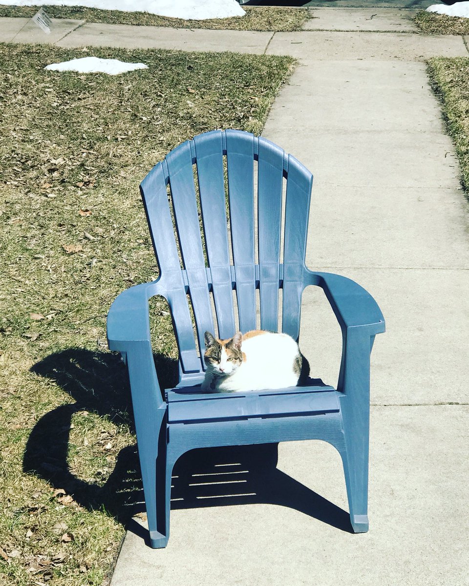 johanssonrealty's tweet photo. The snow is finally melting and spring is here! Callie knows what’s up. ☀️ Who else is ready for grilling &amp; lazy days at the lake?! https://t.co/IG4Y35kYjA
