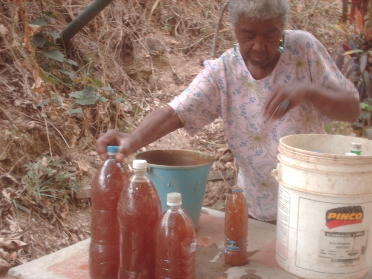 inass_gcaricuao's tweet photo. La BPS"Somos Gente Joven" realiza el proceso de llenar envases con abono orgánico liquido producidos por el lumbricario de Lombrices en la GG.Caricuao @magallyvina @DrJoaquinQQ @cecilipero @salainass https://t.co/IeWUq3rxC1