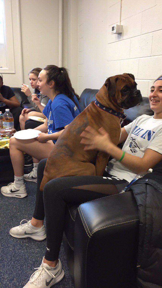 AssumptionVB's tweet image. Last day of spring season the team “hung around” in the weight room, then we had team breakfast to celebrate the work and effort that we put in over the last 4 months. Great job to the ladies on completing a tough off-season! Can’t wait for August! #HoundNation #ACVB #WhyNotUs