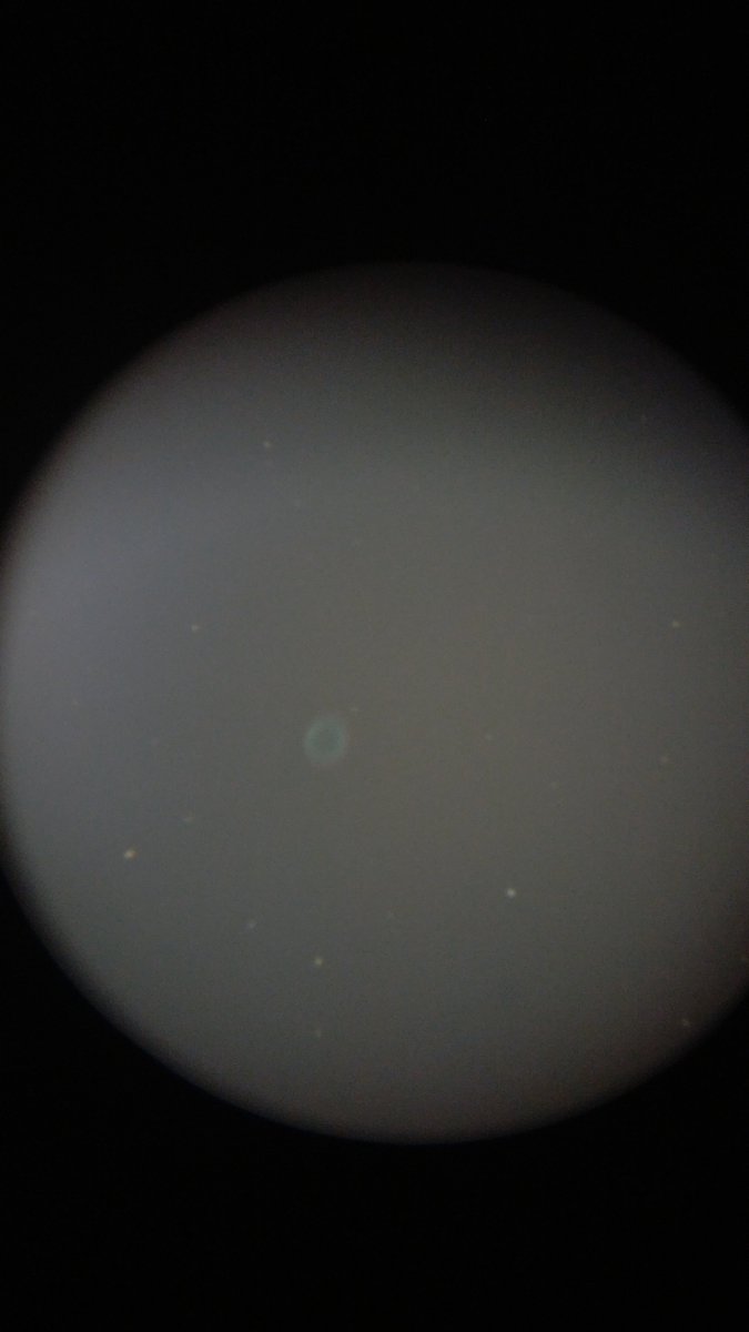 Connor Stone tweet media