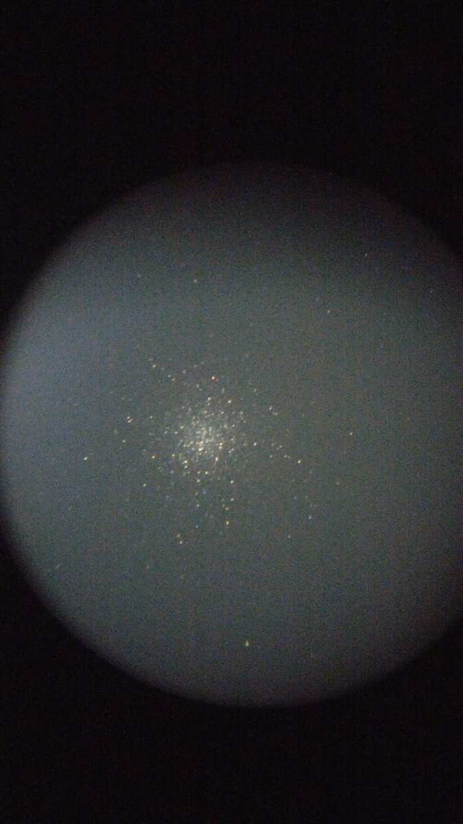 Connor Stone tweet media