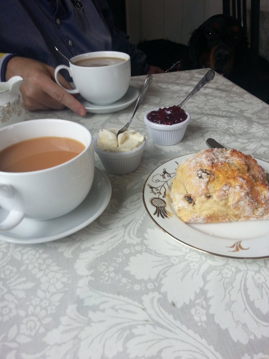 Ruairismum's tweet photo. Trip to Barra not complete until you've had Scones and Tea at Macroons tea rooms #bestsconesever @BarraIsland @OuterHebs https://t.co/fFFKT4HW21