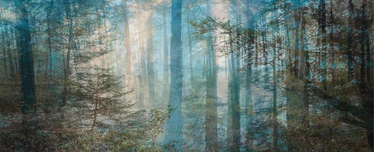 HighMuseumofArt's tweet photo. Only days left to see Amy Elkins' exhibition before it closes on Sunday! Take a closer look into the exhibition with our Assistant Curator of Photography: https://t.co/YbuOxclZBo https://t.co/W9rBzgg8f6