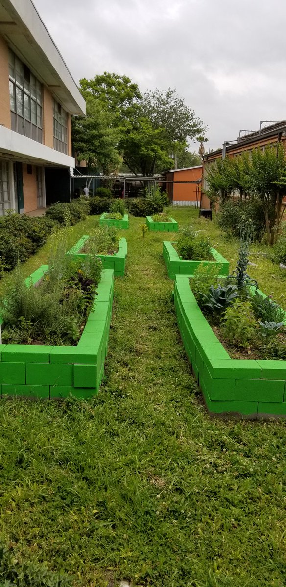 frodriguezart's tweet photo. Here's some more from East End Gardens Club @AustinMustangs. Great job caring for the gardens @DezavalaHisd!
#gardens #legacy #LEADCouncil @Cheniere @FincaTresRobles https://t.co/ez3JMYKLZP