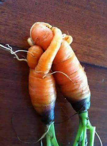 Hexenglut's tweet image. Liebevoll miteinander umgehen.
Sich schätzen und respektieren.
Nicht austauschbar sein.