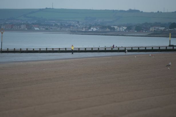 ForestersGuild's tweet image. Heading out in Portobello today? Why not drop into Guild of Foresters this Tuesday for a tasty meal? #gof #Portobello