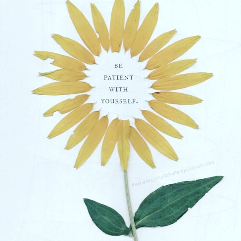 Tina Presley-Borek (@tinapborek) on Twitter photo 