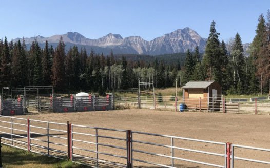 #JasperHeritageRodeo is in danger of being discontinued after 2018. Please help save this rodeo by sharing this information on social media, signing the petition and writing letters. rodeocanada.com/Jasper_Rodeo.h…