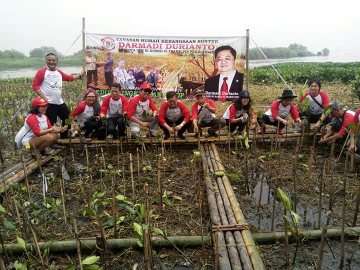ArdiansaDiky's tweet photo. #DarmadiDuriantoTanamMangrove 
#PDIPerjuangan 
#yrkiddcengkareng https://t.co/nH5UYXLYOZ