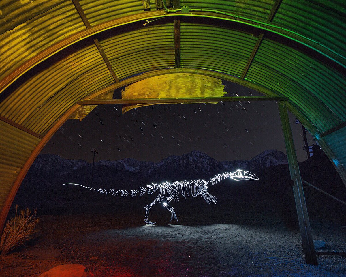 dariustwin's tweet photo. Sierras Allosaurus π
#lightfossil https://t.co/t9xMjh9mE3