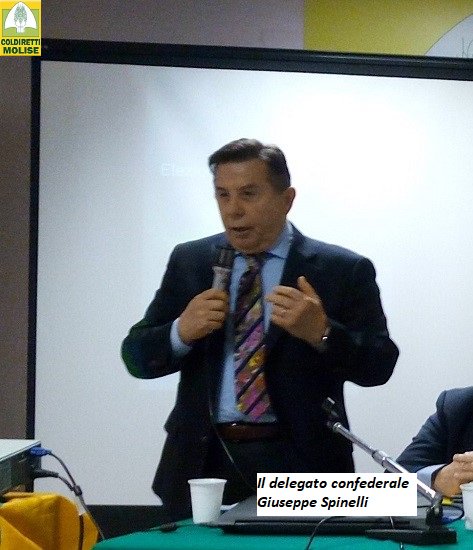 scalabrinocesar's tweet photo. #REGIONALI MOLISE: #COLDIRETTIMOLISE AUGURA BUON LAVORO A GOVERNATORE #TOMA. ORGANIZZAZIONE PRONTA A DIALOGO PROFICUO E COSTRUTTIVO https://t.co/v2M8M1deiG