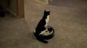 liquidterrier's tweet photo. @iamhazelenglish Roomba ? https://t.co/kxgsdsGjuM