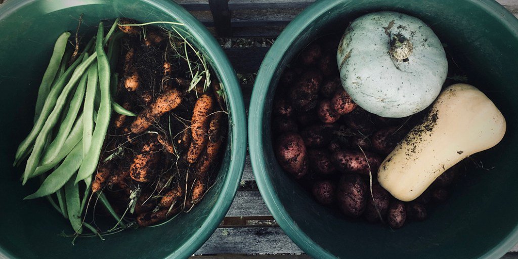 domesticexec's tweet photo. Garden habits and other lessons in life https://t.co/QD3pjqsM8J https://t.co/Dyg9Ua2bLJ
