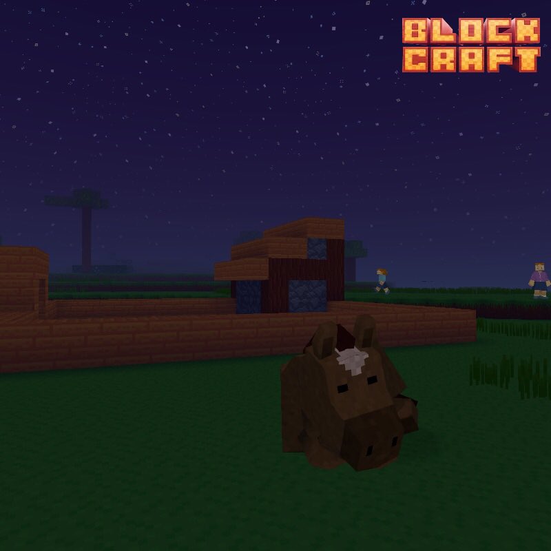 Stephanie Arscott tweet media