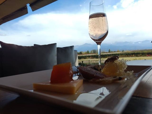TheTintos's tweet image. Let's go have lunch 🍽 with this view? TOMORROW @casa.petrini
🍷 ULTRA UCO WINE TOUR
⚠#weareofficial EvyT Leg.15414.
⚠Não tome riscos: compre somente com agências oficiais.

#mendozaandesexperience #exclusivetour #thetintos
#vinostagram #vinhosempre #v… ift.tt/2K9TYcq