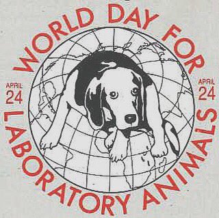 MyVeganVow's tweet photo. WORLDDAY FOR LABORATORY ANIMALS -If you truly love animals you will boycott all the companies that allow testing on animalsYou love your dog, yet you love your Estée Lauder Lip Gloss more right?As long as your lips look fresh who cares right? 👄🙄 #endthepain #raising #awareness https://t.co/kNyhwYK14W