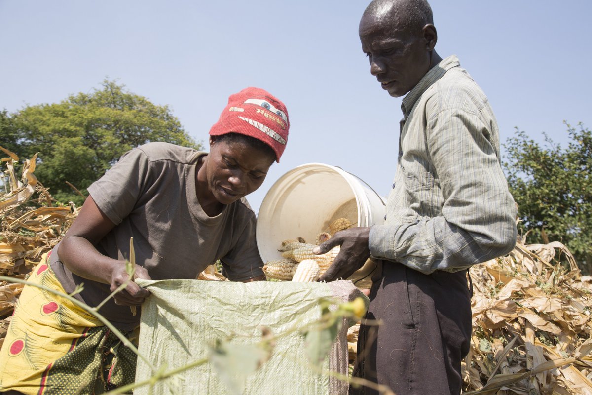 FarmAfrica's tweet photo. Farm Africa's Rachel Beckett discussed how our @FoodTradeESA project links Ugandan and Tanzanian staple crops farmers to regional markets at this evening's @APPG_Ag_F4D meeting. #UKaid #Aidworks #UKAPPGsIntDev https://t.co/O7InfIqz7C https://t.co/6twamZ4A4p